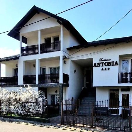Pensiunea Antonia Vatra Dornei Εξωτερικό φωτογραφία