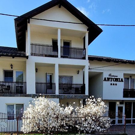 Pensiunea Antonia Vatra Dornei Εξωτερικό φωτογραφία