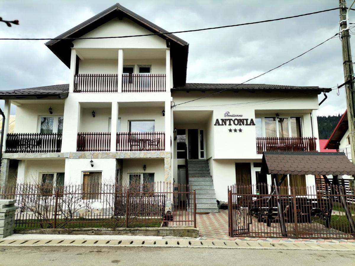 Pensiunea Antonia Vatra Dornei Εξωτερικό φωτογραφία