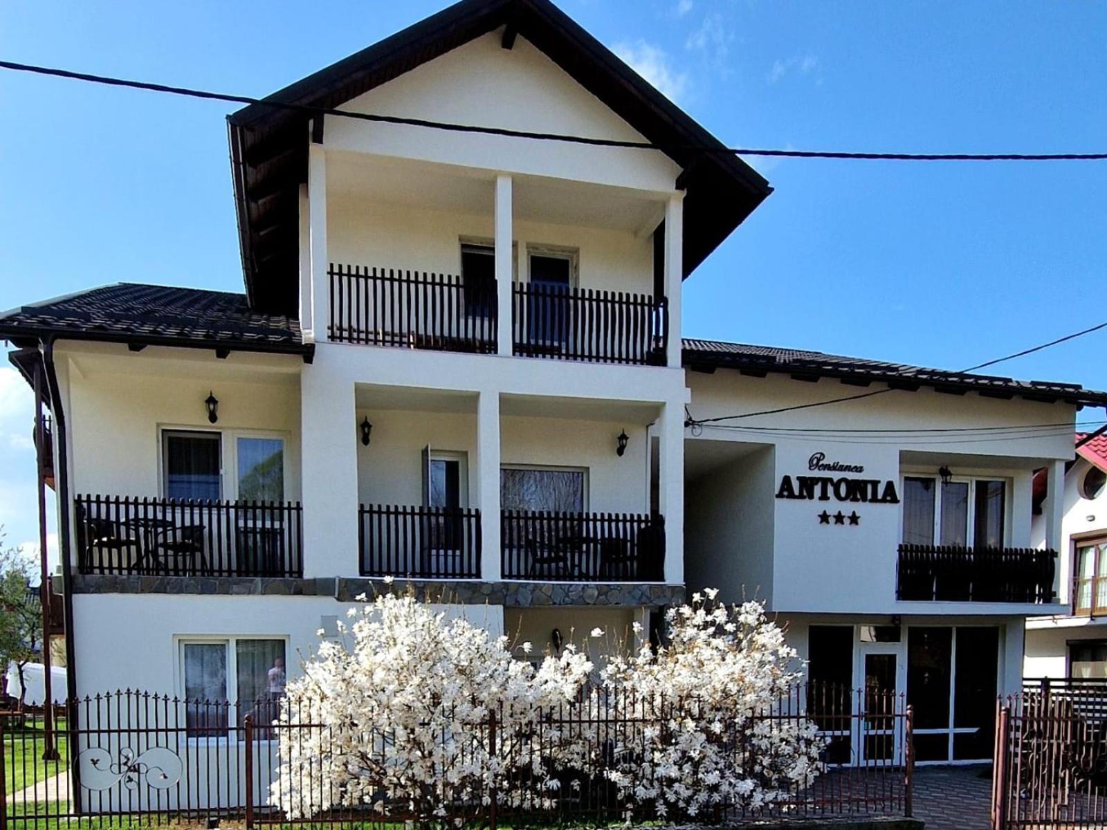 Pensiunea Antonia Vatra Dornei Εξωτερικό φωτογραφία